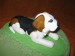 kulatý s beaglem detail